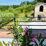 Monteleone * Montefalcone (Pisa)