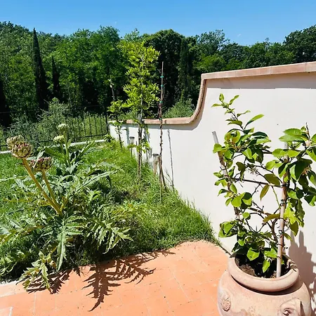 Apartment Monteleone