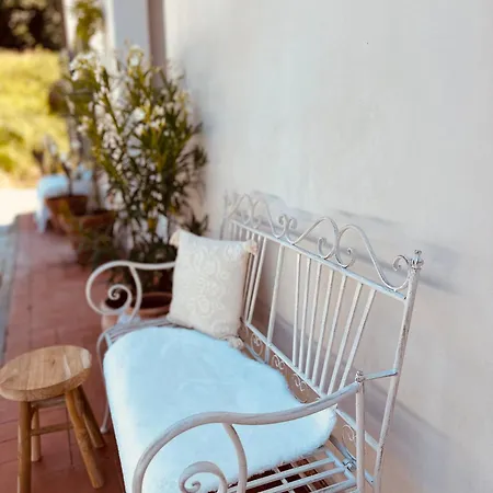 Apartment Monteleone Montefalcone (Pisa)