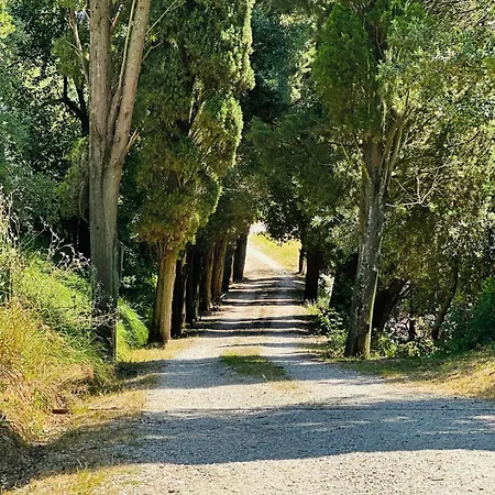 Monteleone Montefalcone (Pisa)