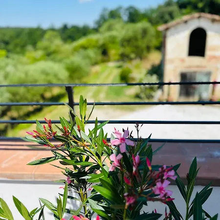 Monteleone * Montefalcone (Pisa)