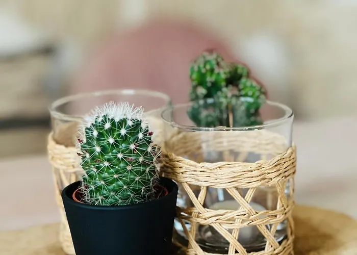 Monteleone Lejlighed