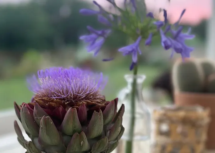 Monteleone Montefalcone (Pisa)