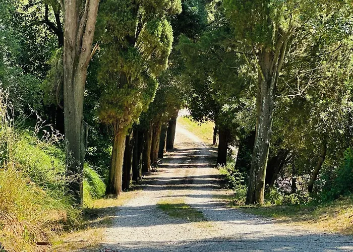 Monteleone Montefalcone (Pisa)