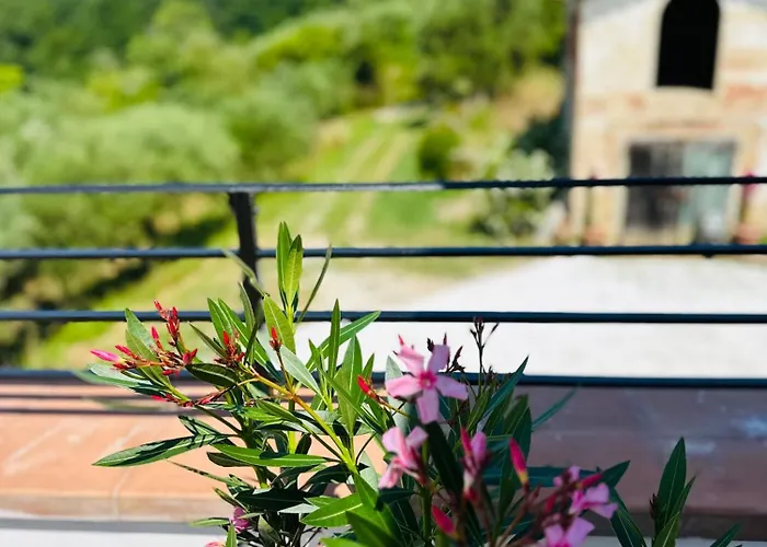 Monteleone * Montefalcone (Pisa)