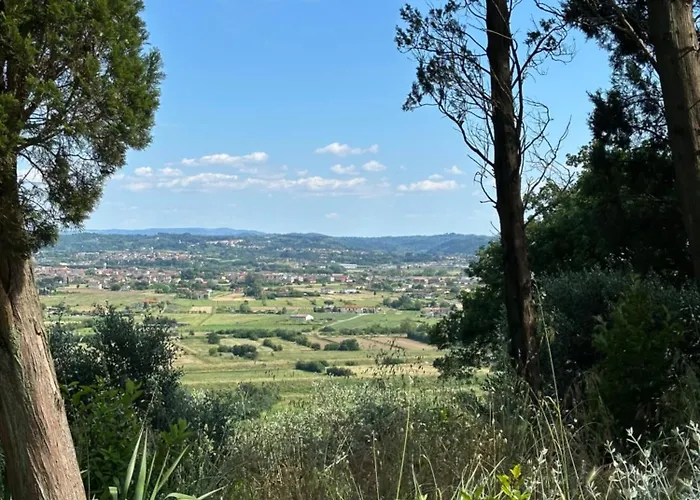 Monteleone Montefalcone (Pisa)